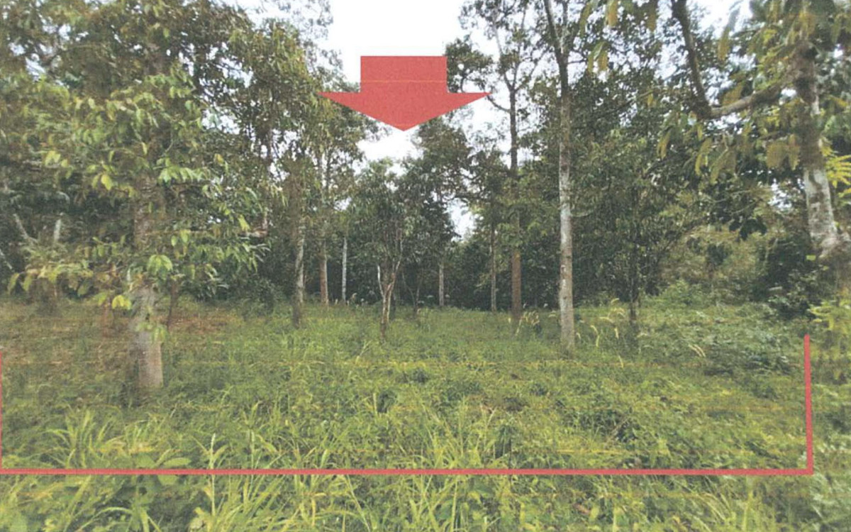 Residential land/lot Pattani Khok Pho Na Pradu 100620