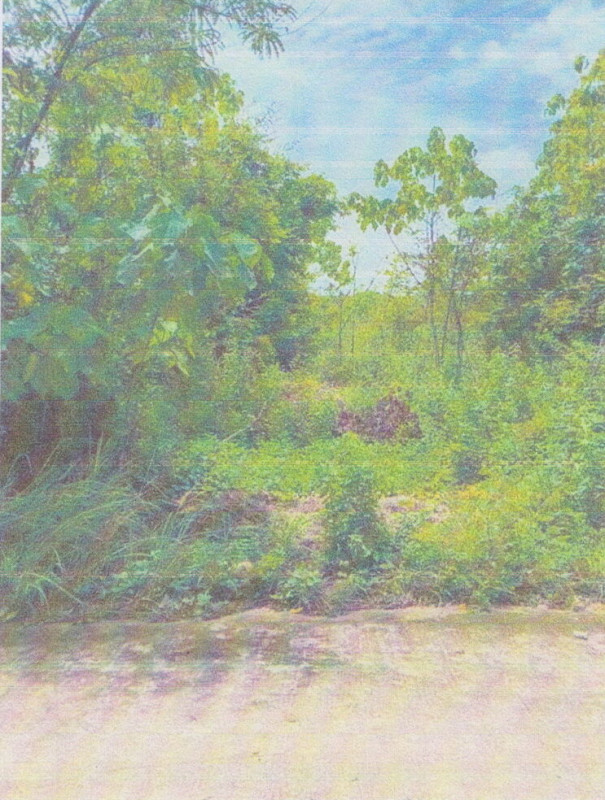 Residential land/lot Krabi Ko Lanta Sala Dan 656700