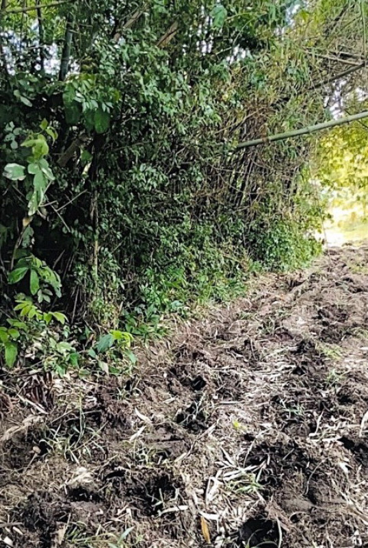 Residential land/lot Ubon Ratchathani Warin Chamrap Tha Lat 46605
