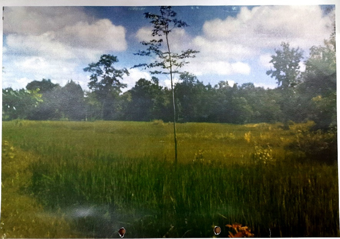 Residential land/lot Sakon Nakhon Kusuman Pho Phisan 277950