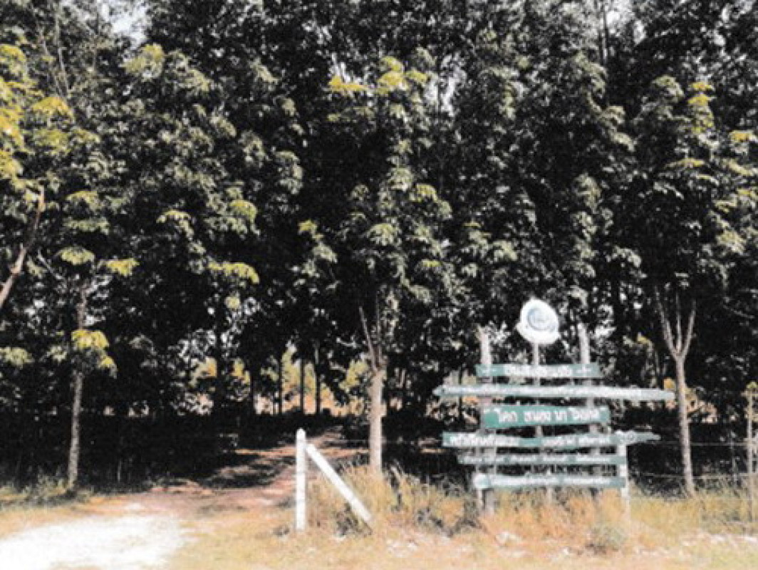 Residential land/lot Nakhon Phanom Na Wa Na Wa 244850