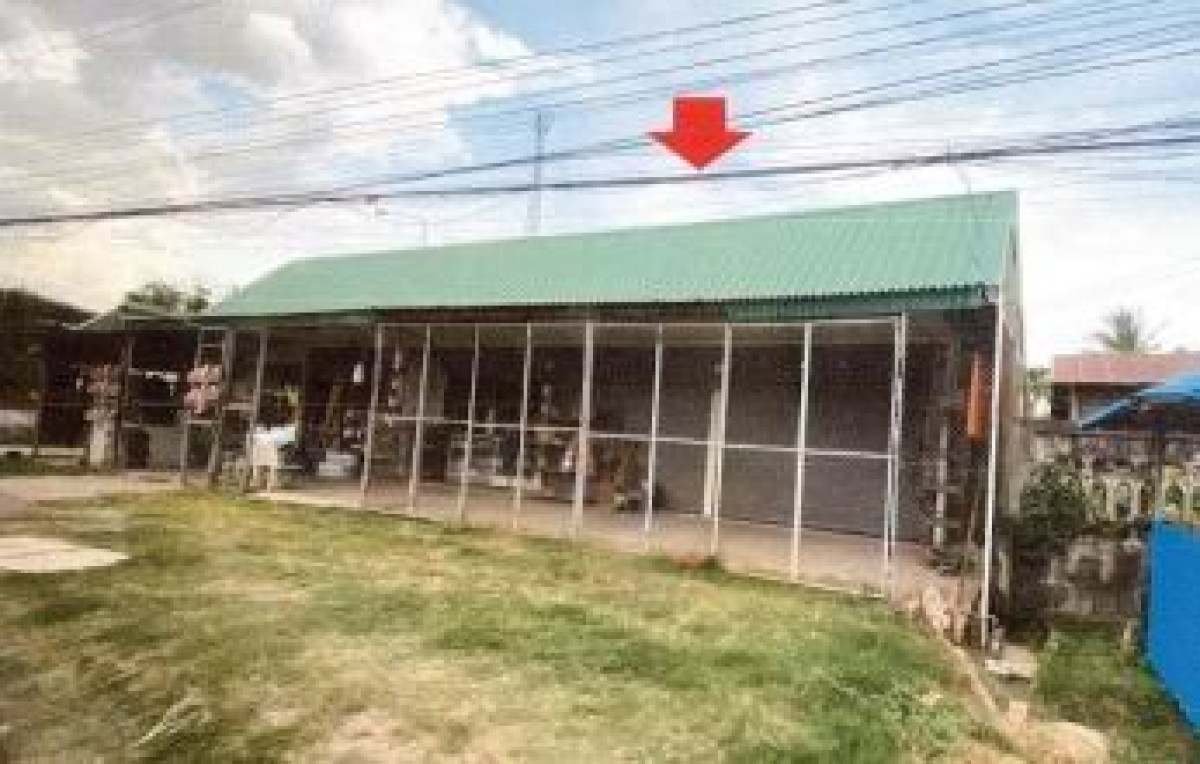 Single house Kalasin Kamalasai Kamalasai 780000