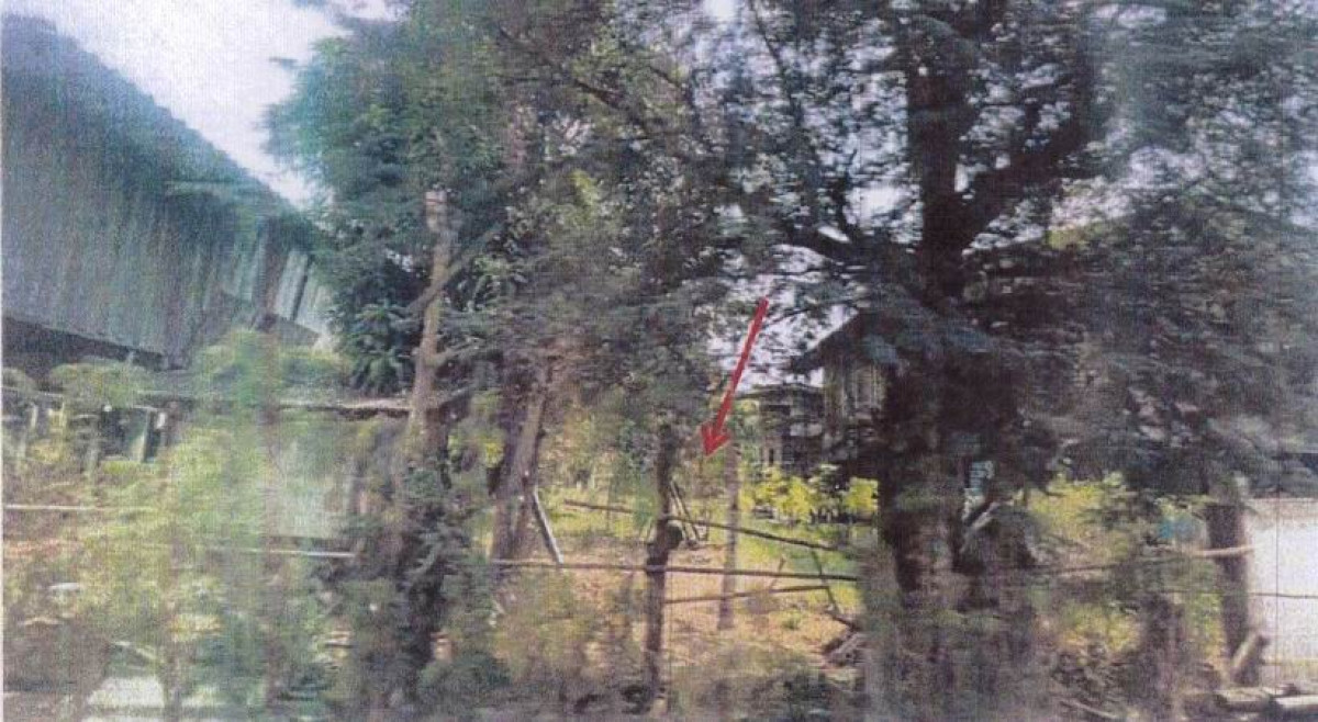 ที่ดินเปล่า พะเยา เมืองพะเยา บ้านต๋อม 12460