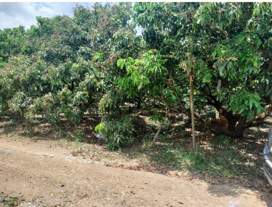 Residential land/lot Chiang Mai San Pa Tong Mae Ka 281000