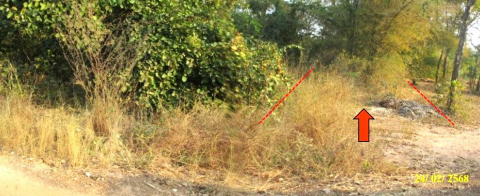 Residential land/lot Khon Kaen Mueang Khon Kaen Ban Kho 600000