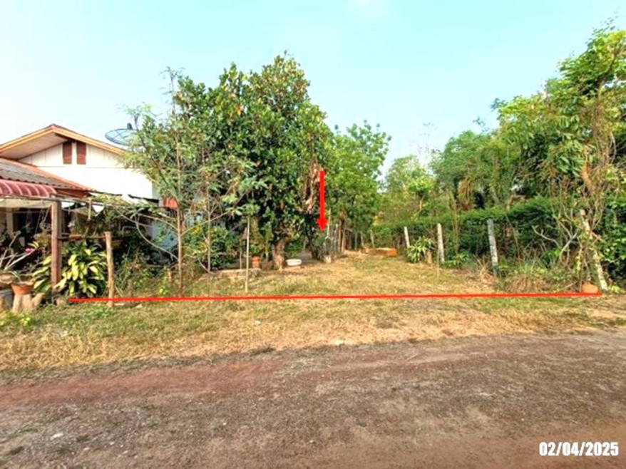ที่ดินเปล่า เลย เชียงคาน เชียงคาน 684000