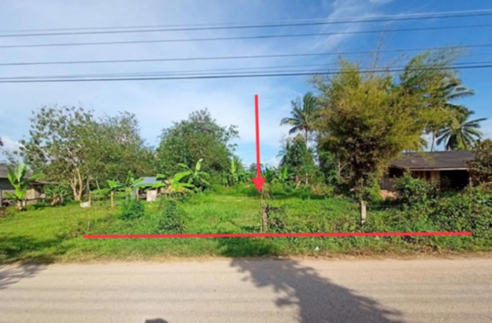 ที่ดินเปล่า สงขลา สะบ้าย้อย สะบ้าย้อย 800000