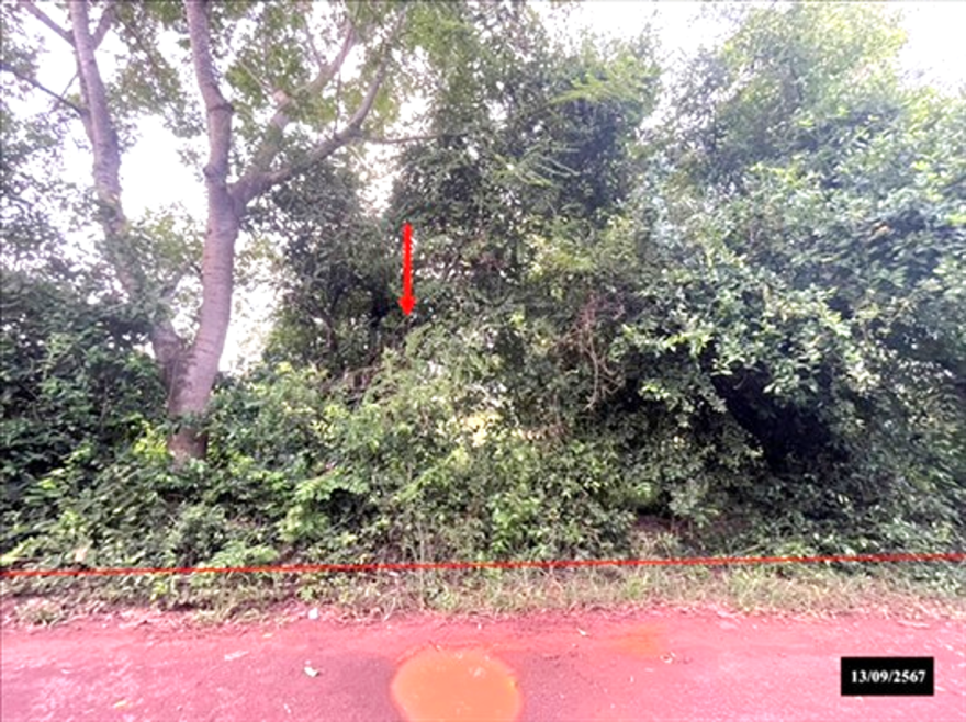 Residential land/lot Sakon Nakhon Phang Khon Phang Khon 700000