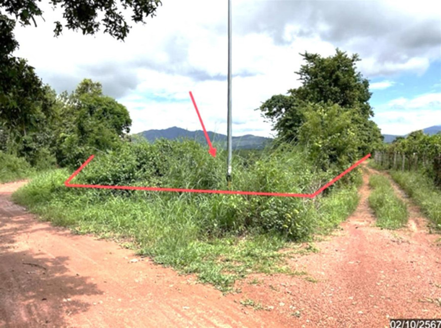 Residential land/lot Phayao Phu Sang Phu Sang 901000
