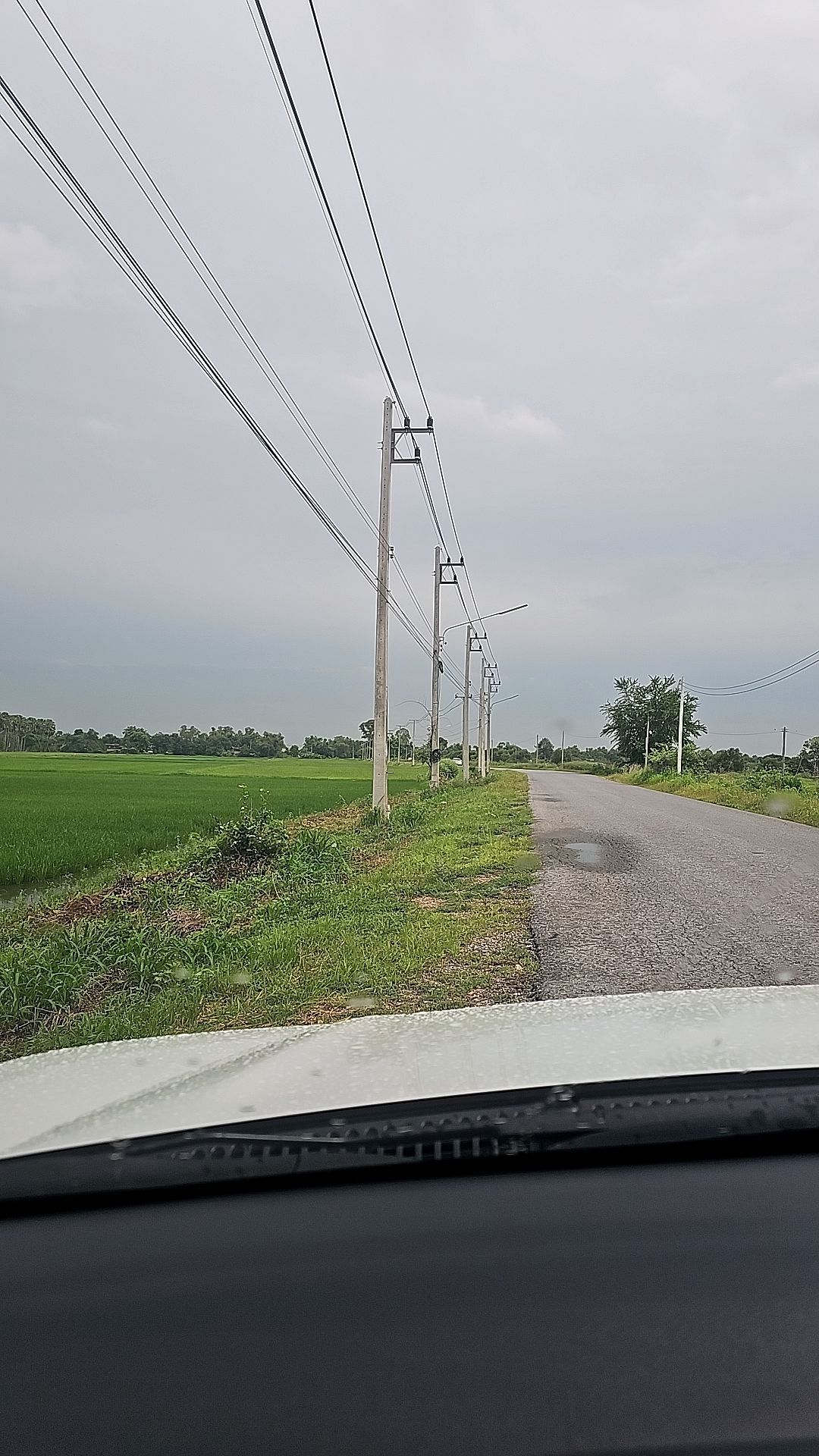 ที่ดินเปล่า นครนายก บ้านนา บ้านพริก 42824036