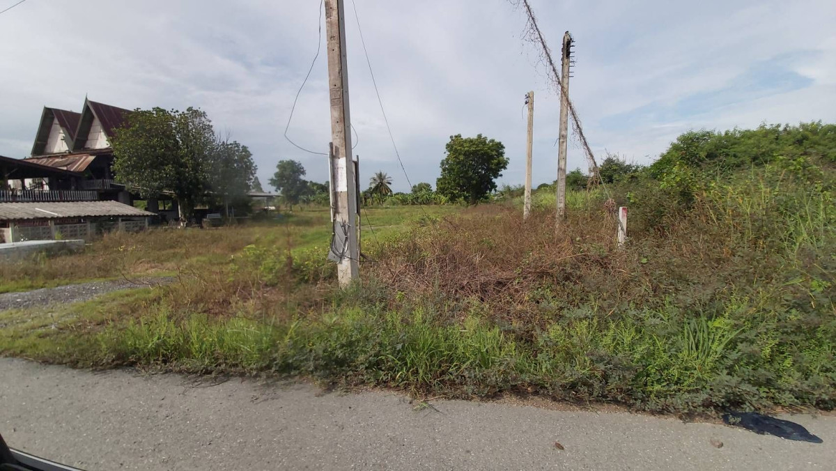 ที่ดินเปล่า นครนายก บ้านนา บ้านพริก 42824036