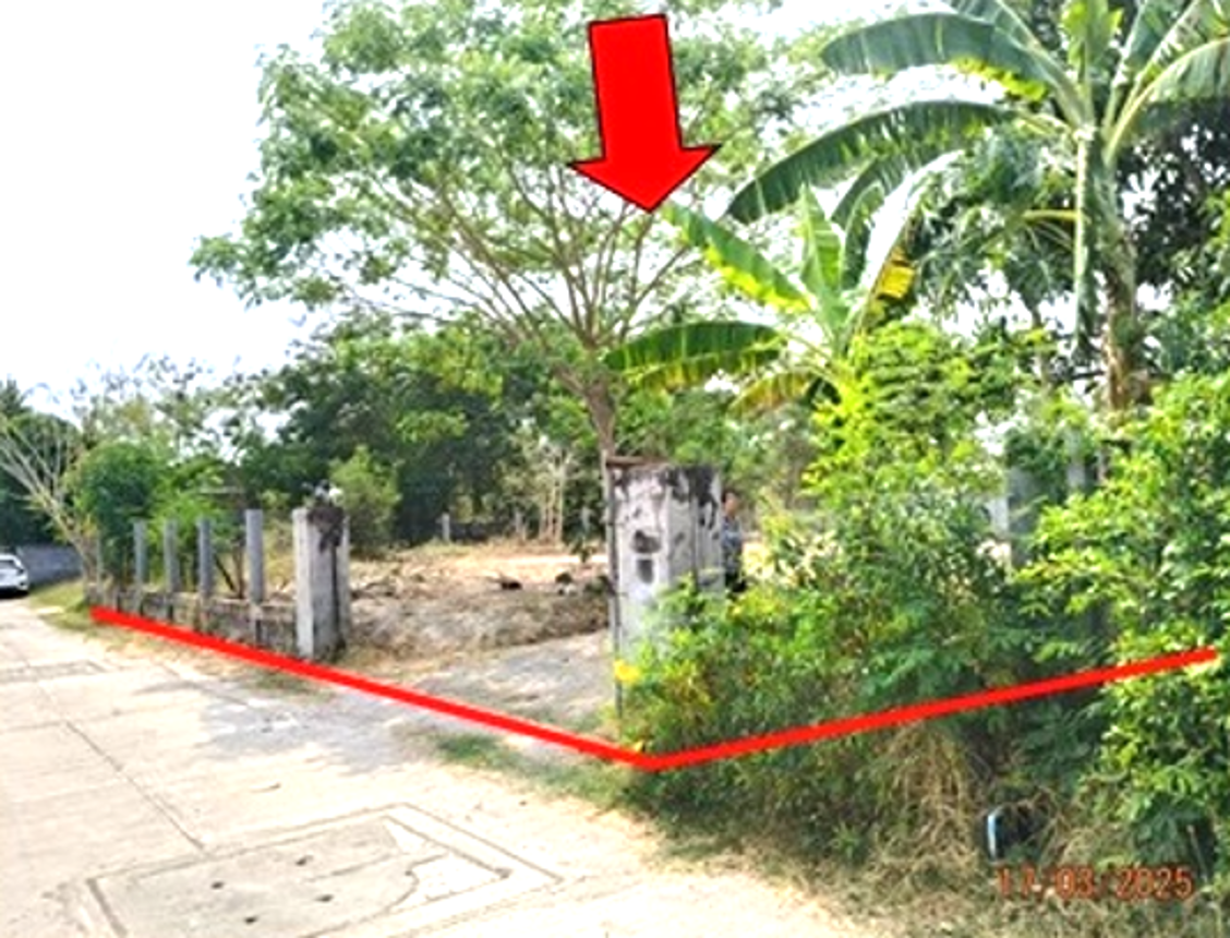 ที่ดินเปล่า อุบลราชธานี ม่วงสามสิบ ม่วงสามสิบ 1473000