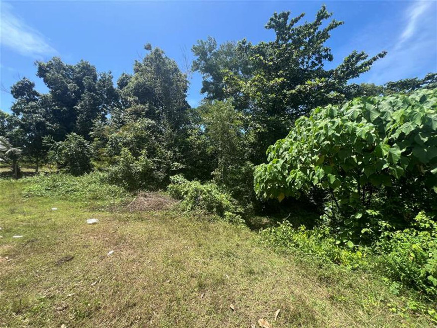 Residential land/lot Krabi Nuea Khlong Nuea Khlong 1290000