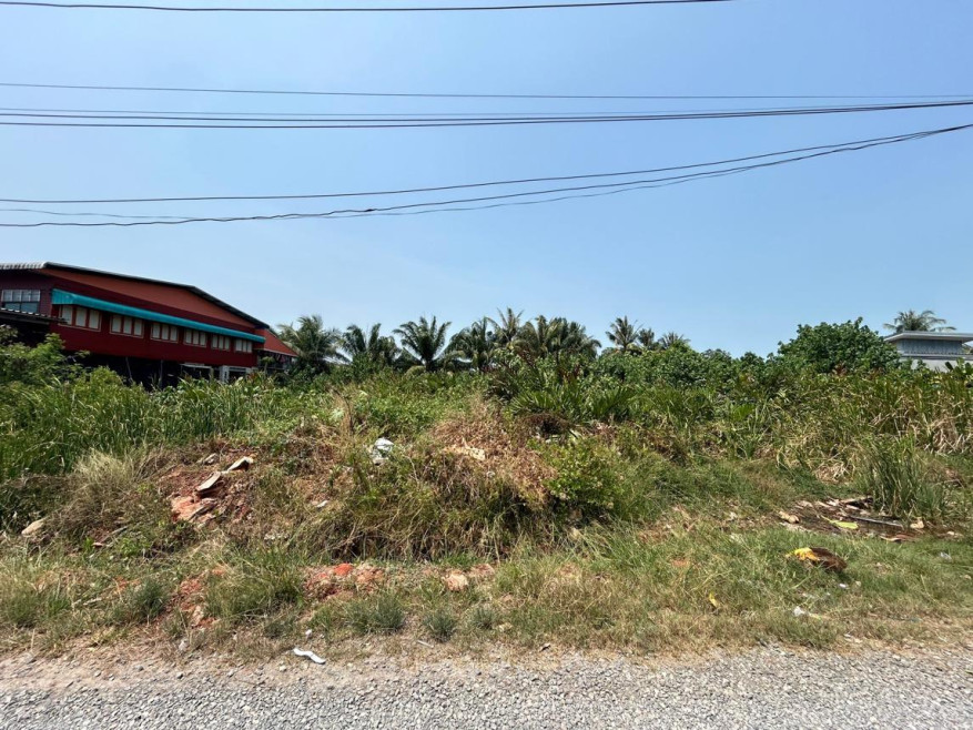 Residential land/lot Surat Thani Mueang Surat Thani Bang Kung 1320000