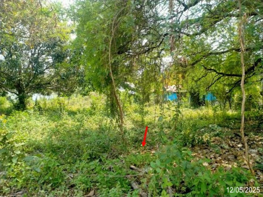 Residential land/lot Udon Thani Mueang Udon Thani Na Kha 1321000