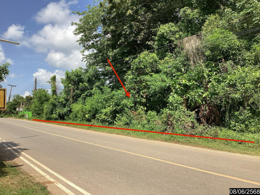 Residential land/lot Sakon Nakhon Song Dao Song Dao 1492000