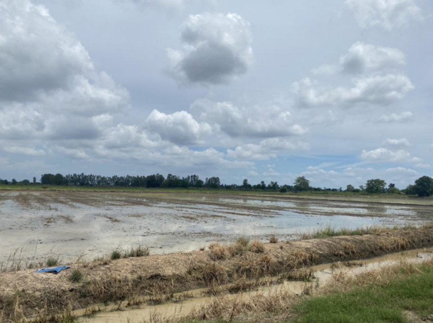 Residential land/lot Nakhon Sawan Kao Liao Hua Dong 1500000
