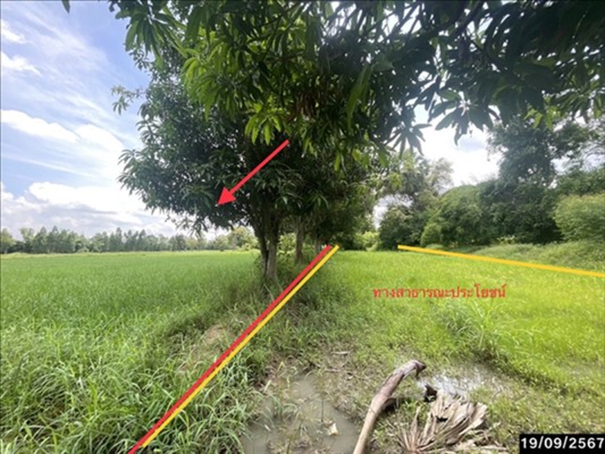 Residential land/lot Khon Kaen Ban Fang Ban Lao 1926250