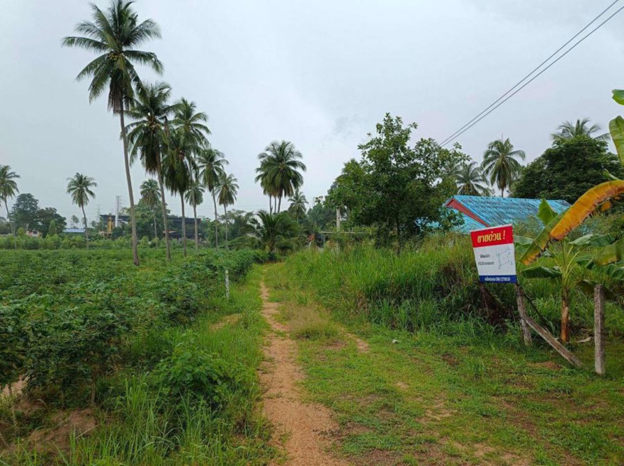 Residential land/lot Chon Buri Bang Lamung Nong Pla Lai 1890000