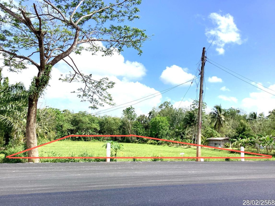 Residential land/lot Phatthalung Khao Chaison Han Pho 1676000