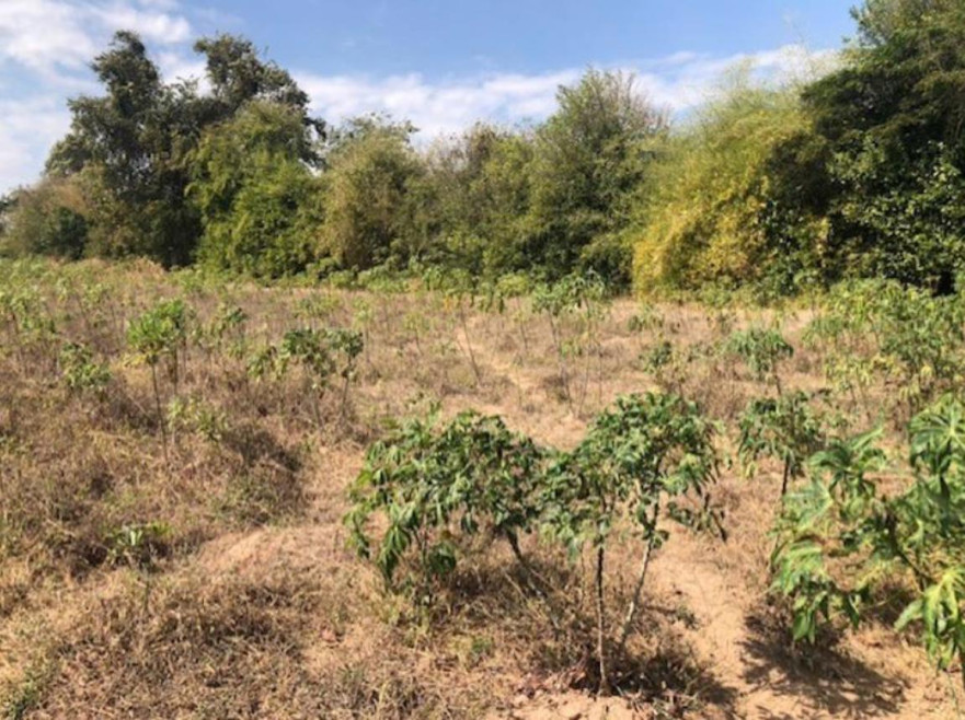 Residential land/lot Maha Sarakham Kosum Phisai Hua Khwang 1600000
