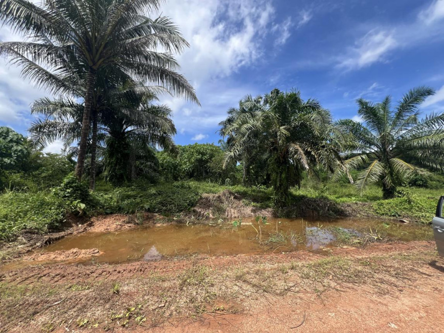 Residential land/lot Krabi Khao Phanom Khao Din 1950000
