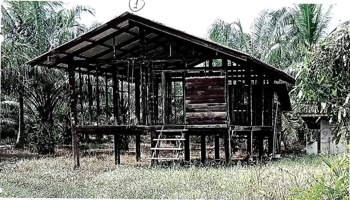 บ้านเดี่ยว สุราษฎร์ธานี ท่าฉาง คลองไทร 1651408