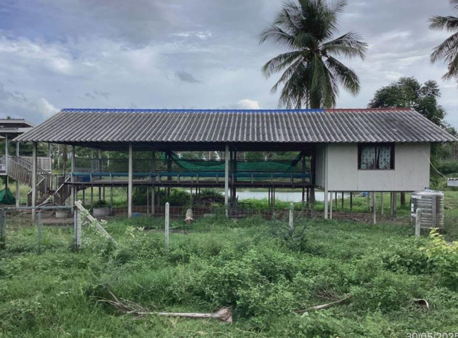 อื่นๆ ประจวบคีรีขันธ์ เมืองประจวบคีรีขันธ์ เกาะหลัก 30000000