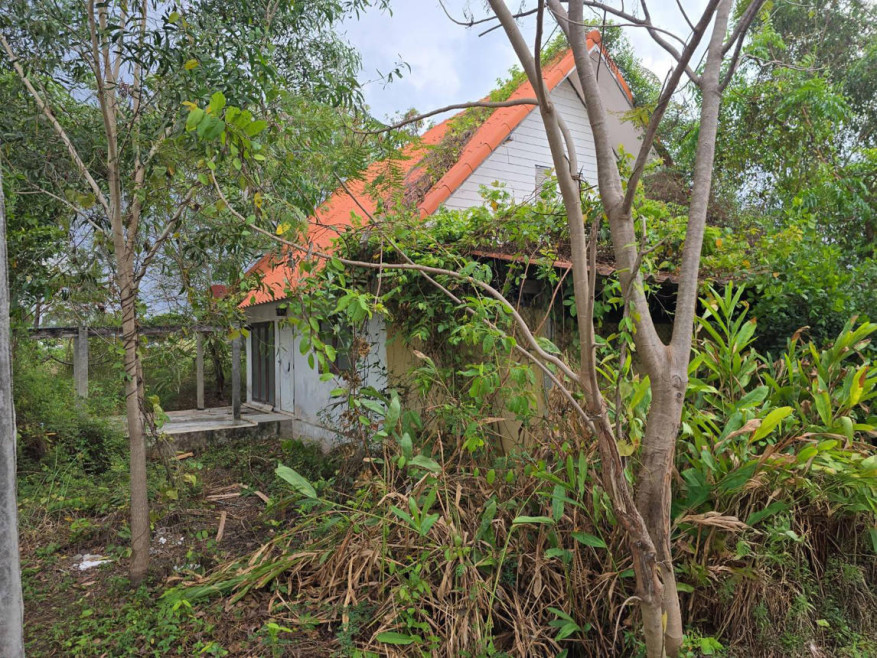 บ้านเดี่ยว ชลบุรี บางละมุง ตะเคียนเตี้ย 4790000