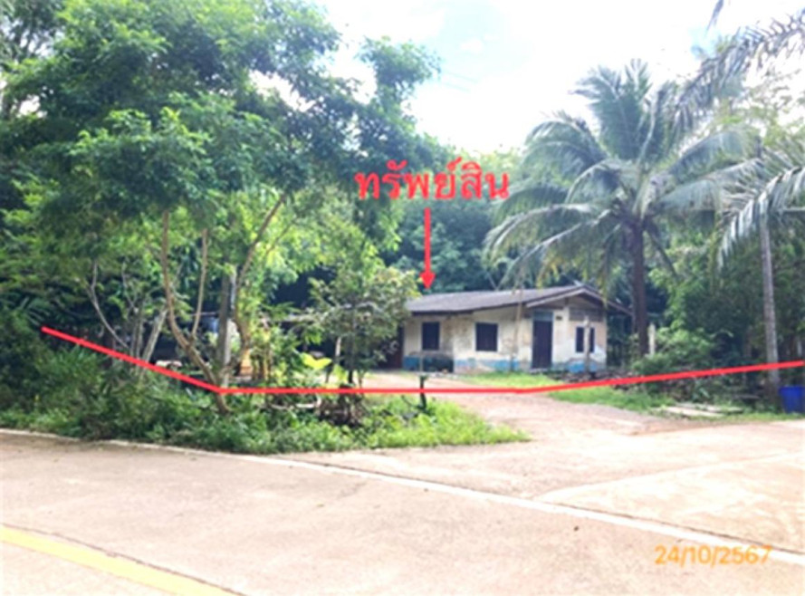 Single house Surat Thani Chai Buri Chai Buri 1554000
