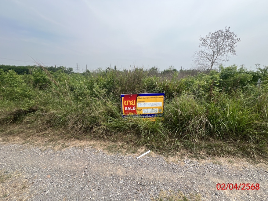 Residential land/lot Pathum Thani Nong Suea Nong Sam Wang 462000