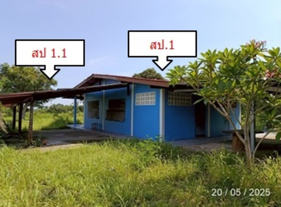 บ้านเดี่ยว ชลบุรี ศรีราชา บางพระ 4962000