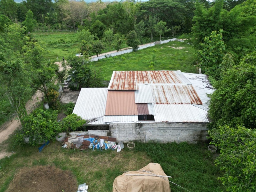 Single house Lampang Hang Chat Wiang Tan 1440000