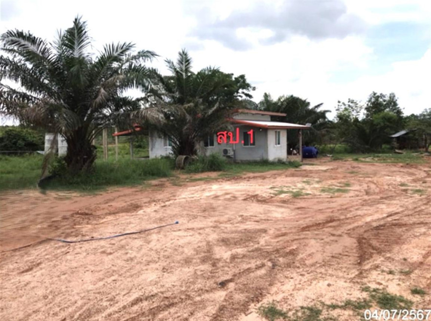 บ้านเดี่ยว มุกดาหาร หว้านใหญ่ บางทรายน้อย 1667000