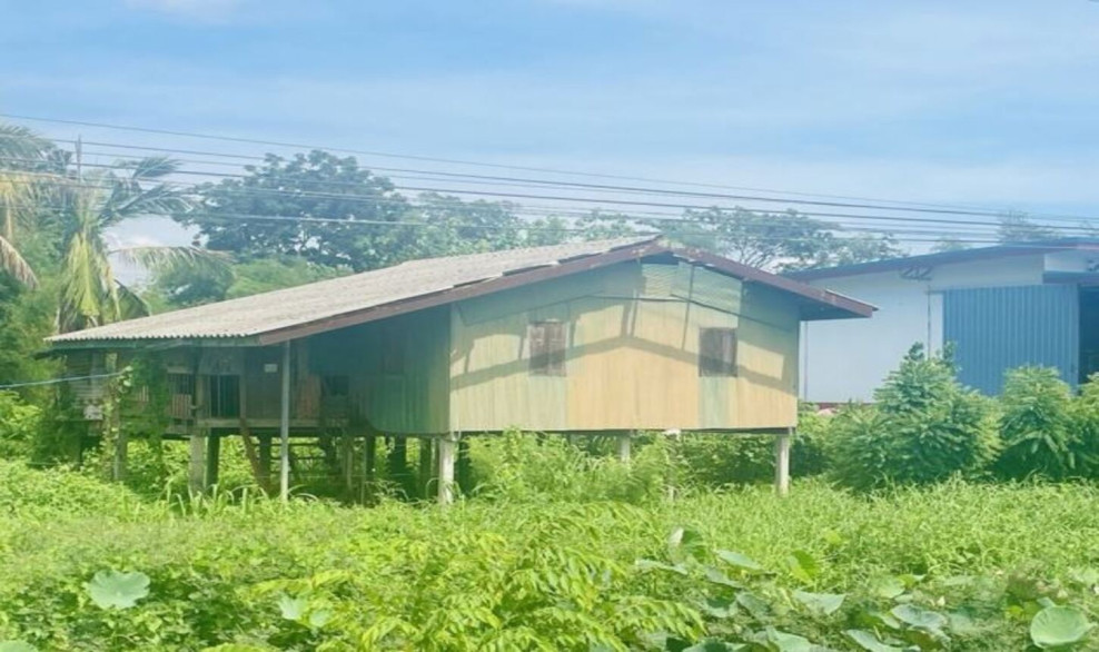 บ้านเดี่ยว พิจิตร ดงเจริญ วังงิ้วใต้ 800000