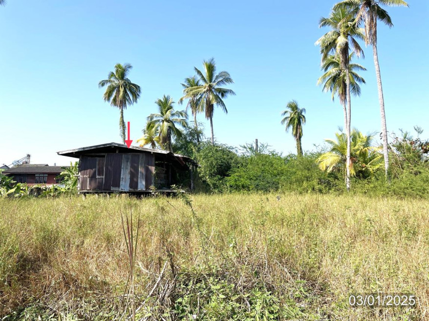 บ้านเดี่ยว สุโขทัย สวรรคโลก ในเมือง 799000