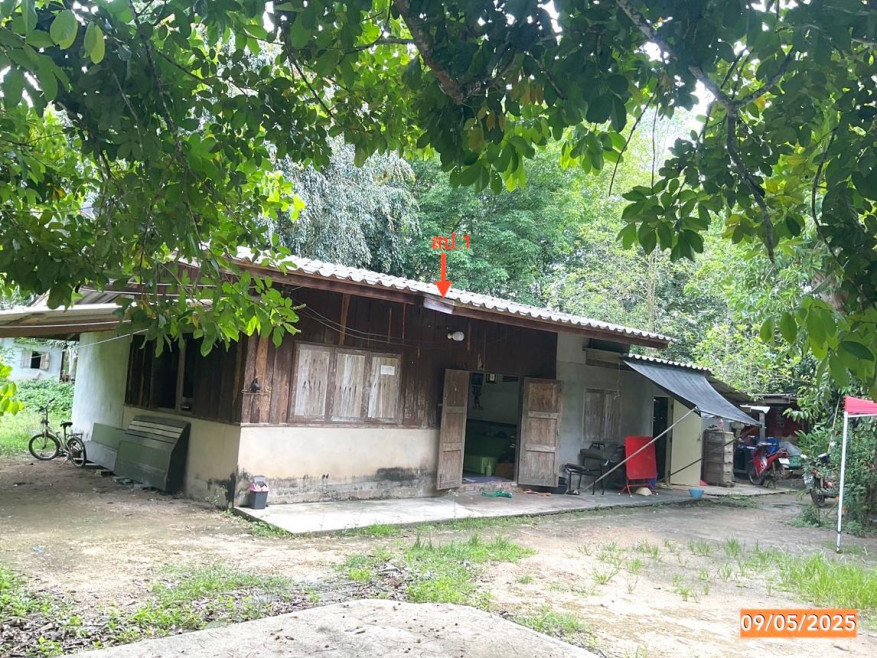 บ้านเดี่ยว นครศรีธรรมราช ช้างกลาง หลักช้าง 781000