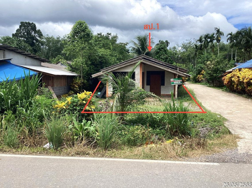 บ้านเดี่ยว สตูล ท่าแพ ท่าแพ 1036000