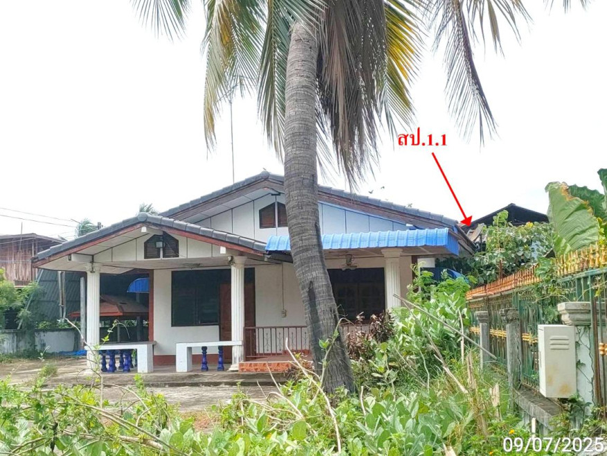 บ้านเดี่ยว มหาสารคาม นาดูน หนองไผ่ 1825000