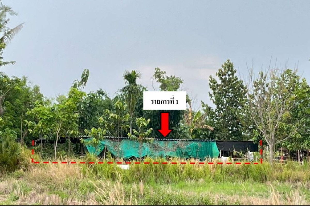 Single house Si Sa Ket Kantharalak Nam Om 543113