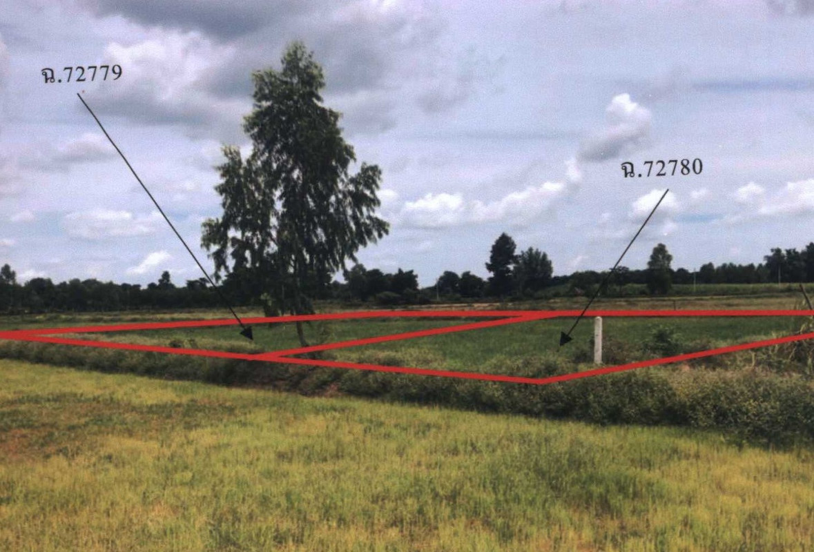 Residential land/lot Maha Sarakham Mueang Maha Sarakham Tha Song Khon 249000