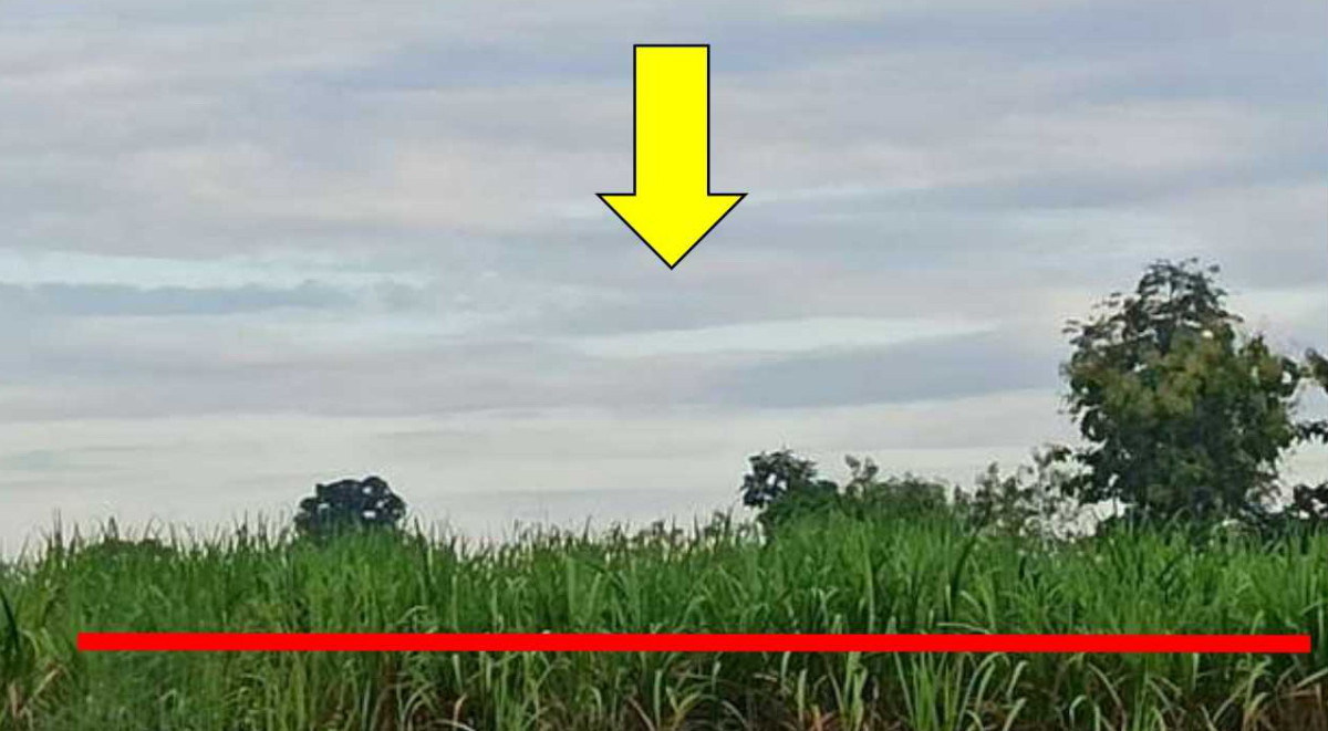 Residential land/lot Nong Bua Lam Phu Si Bun Rueang Yang Lo 889200