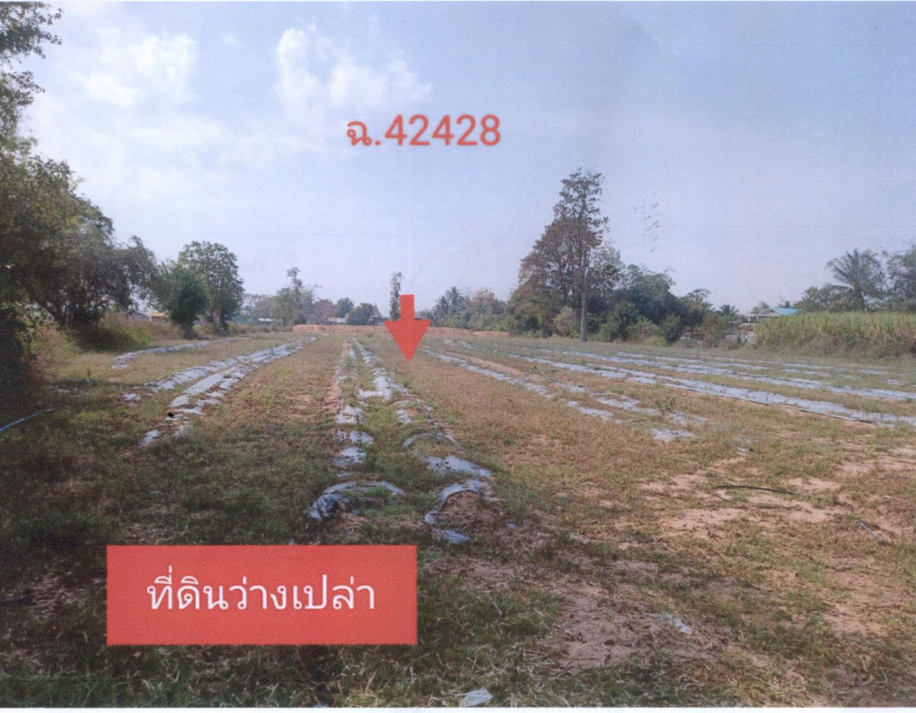 Residential land/lot Khon Kaen Ban Phai Hin Tang 519000