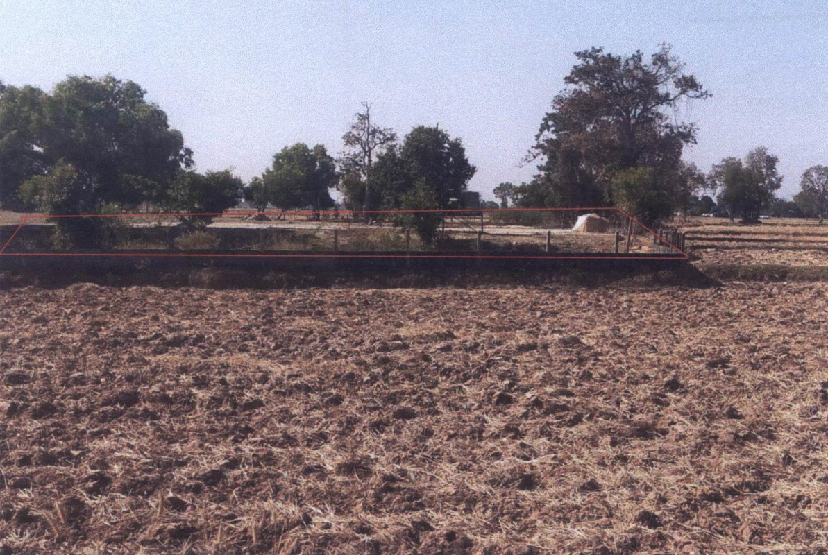 Residential land/lot Surin Rattanaburi Don Raet 334360