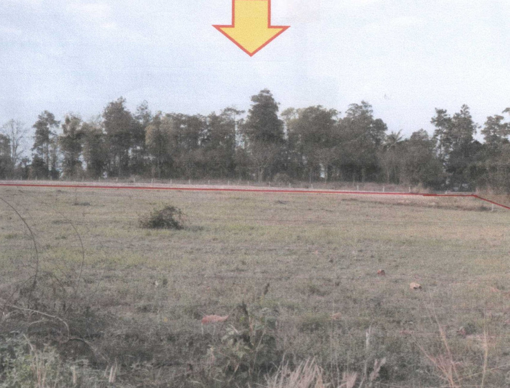 Residential land/lot Maha Sarakham Borabue Nong Ko 316580