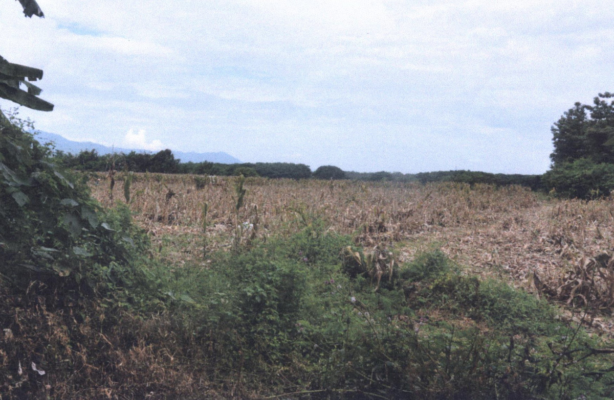 Residential land/lot Phrae Mueang Phrae Mae Yom 24600