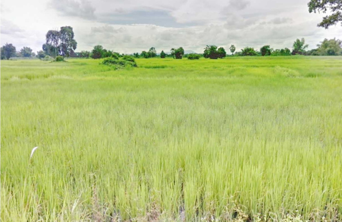 Residential land/lot Nong Bua Lam Phu Si Bun Rueang Si Bunrueang 273110
