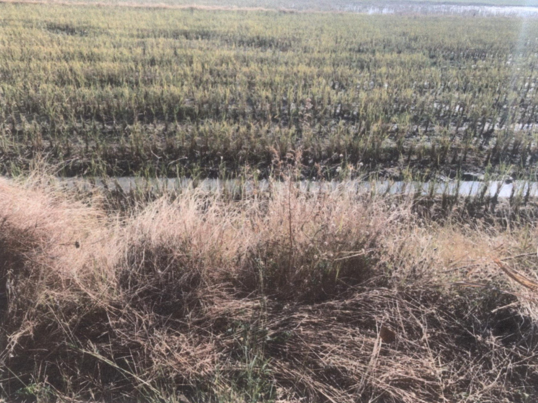 Residential land/lot Phra Nakhon Si Ayutthaya Bang Pahan Bang Phloeng 313000