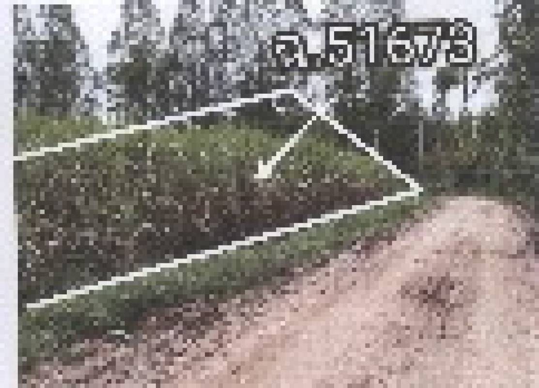 Residential land/lot Maha Sarakham Mueang Maha Sarakham Tha Song Khon 150000