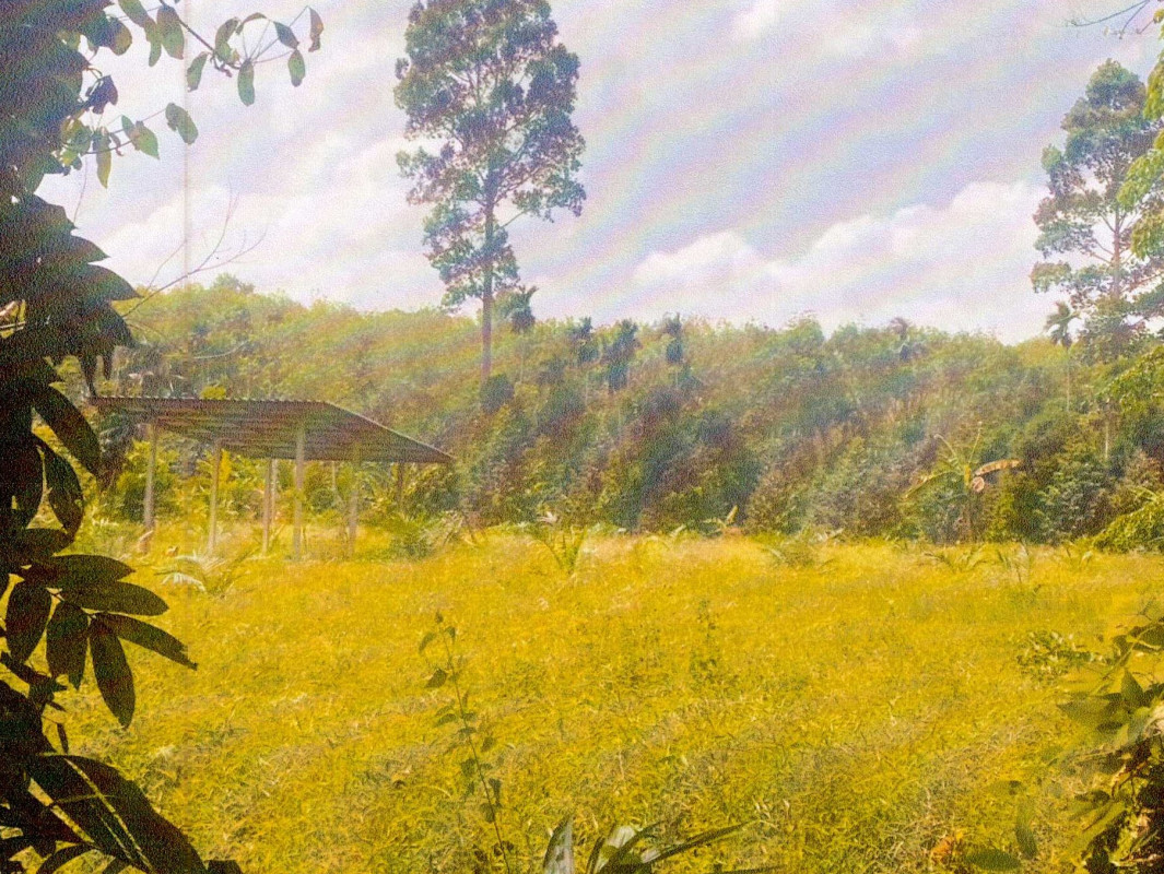 Single house Surat Thani Khiri Rat Nikhom Ban Yang 260163